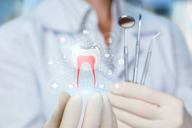 Hermann, MO Holistic Dental Care Services Company